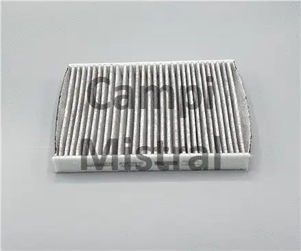 Filter, cabin air (AVF1003C)