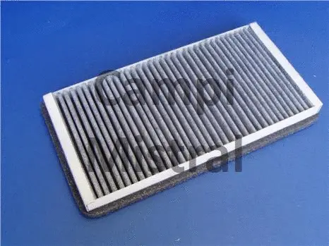Filter, cabin air (AVF1102C)