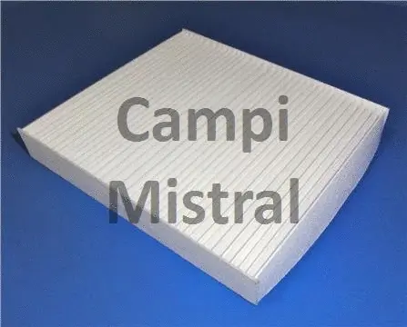Filter, cabin air (AVF2609)