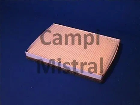 Filter, cabin air (AVF0206)