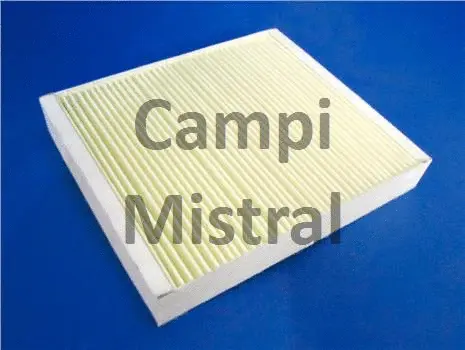 Filter, cabin air (AVF2108)