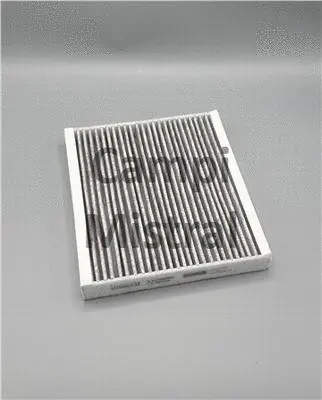 Filter, cabin air (AVF0609C)