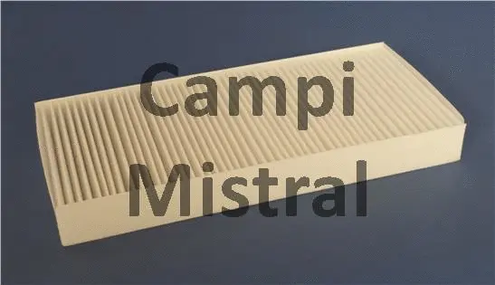 Filter, cabin air (AVF1021)