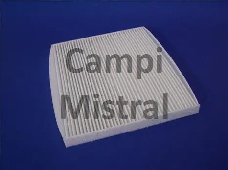 Filter, cabin air (AVF1705)