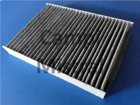 Filter, cabin air (AVF1017C)