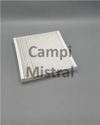 Filter, cabin air (AVF0910)