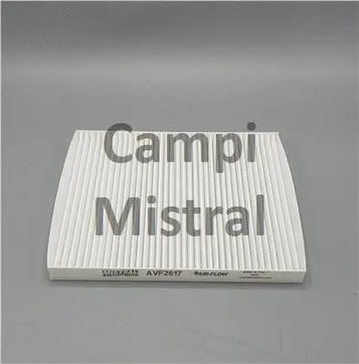 Filter, cabin air (AVF2617)