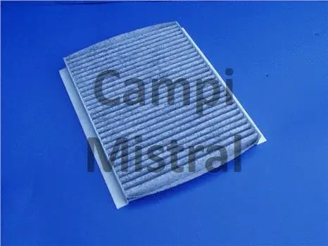 Filter, cabin air (AVF0113)