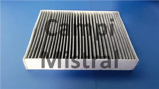 Filter, cabin air (AVF0414C)