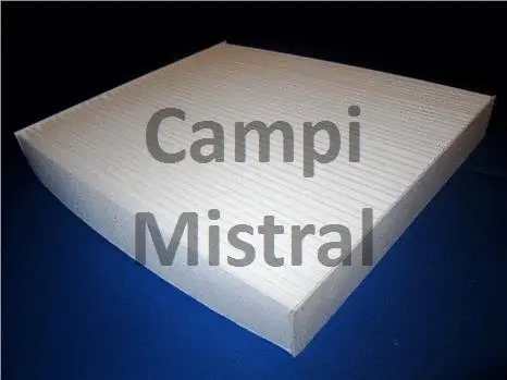 Filter, cabin air (AVF2304)