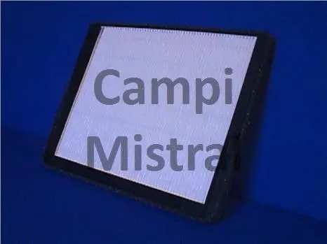 Filter, cabin air (AVF0101)