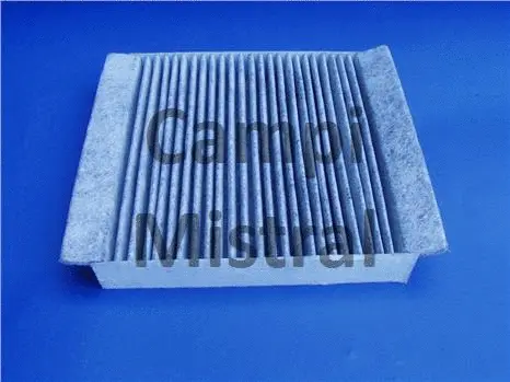 Filter, cabin air (AVF0305C)