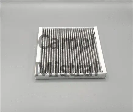 Filter, cabin air (AVF1216C)