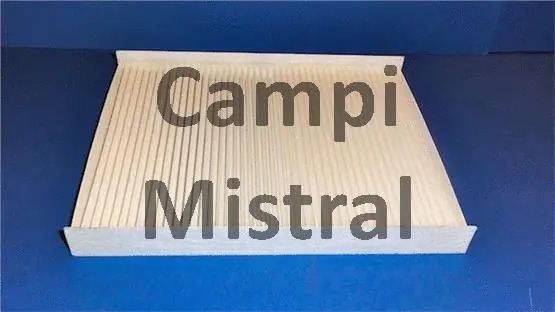 Filter, cabin air (AVF2313)