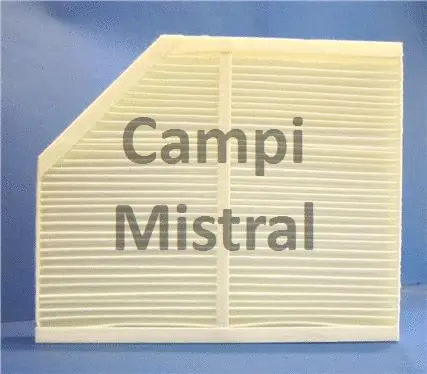 Filter, cabin air (AVF0808)