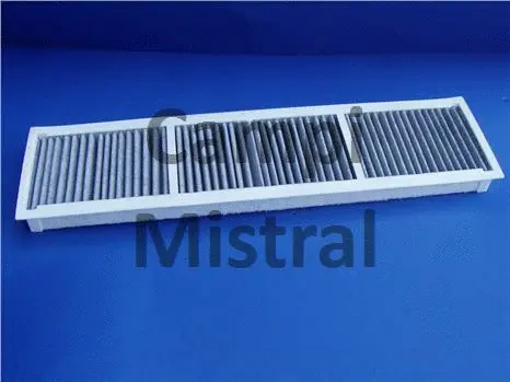 Filter, cabin air (AVF0405C)