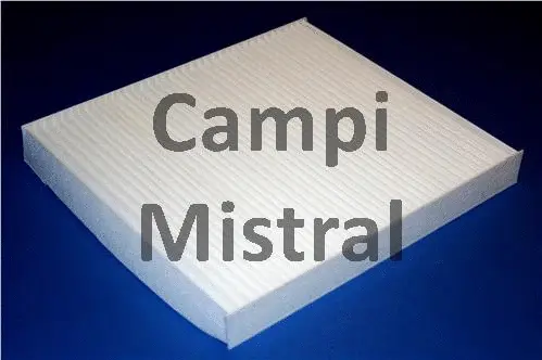Filter, cabin air (AVF0124)