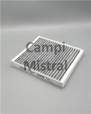 Filter, cabin air (AVF0124C)