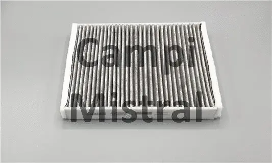 Filter, cabin air (AVF0905C)