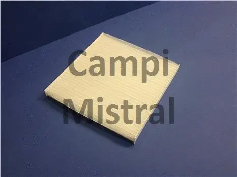 Filter, cabin air (AVF1111)