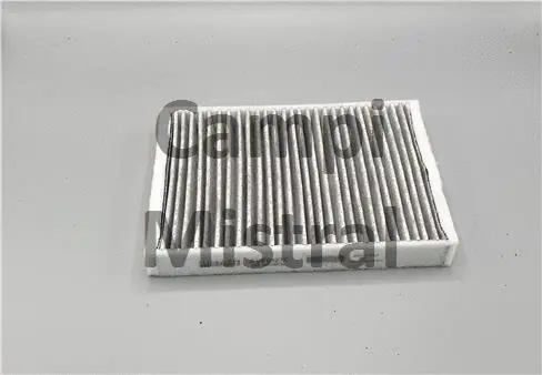 Filter, cabin air (AVF0127C)