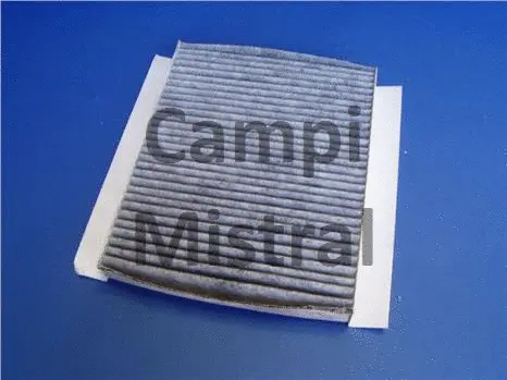 Filter, cabin air (AVF0304)