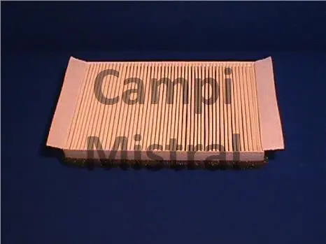 Filter, cabin air (AVF1101)