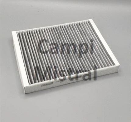 Filter, cabin air (AVF1219C)