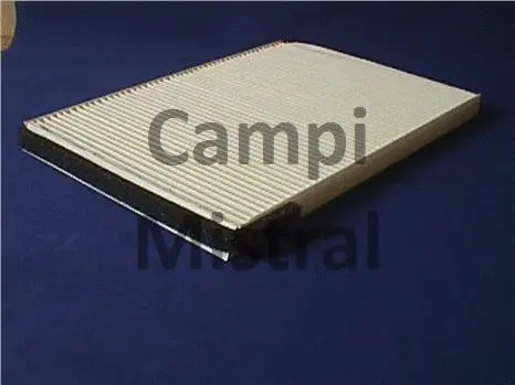 Filter, cabin air (AVF0303)