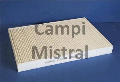 Filter, cabin air (AVF0811)