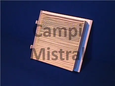 Filter, cabin air (AVF0204)