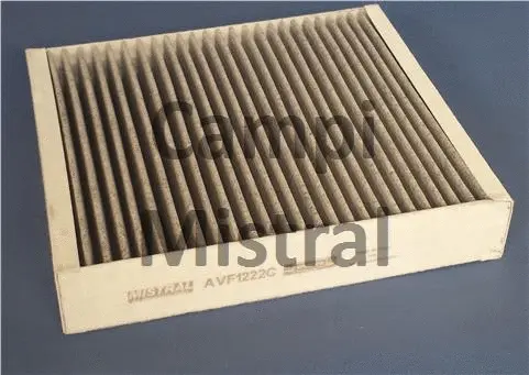 Filter, cabin air (AVF1222C)