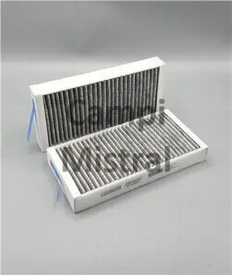 Filter, cabin air (AVF0419C)