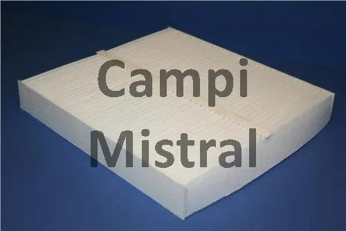Filter, cabin air (AVF1504)