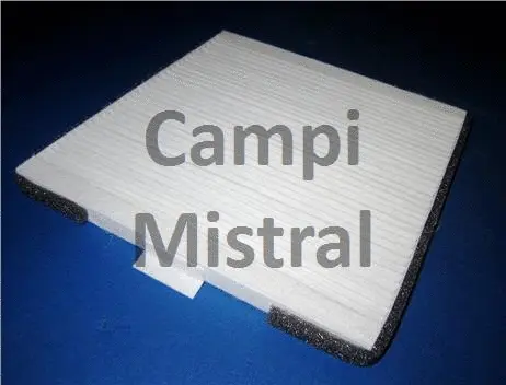 Filter, cabin air (AVF2107)