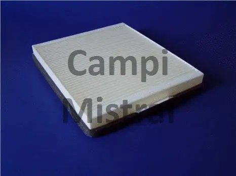Filter, cabin air (AVF0501)