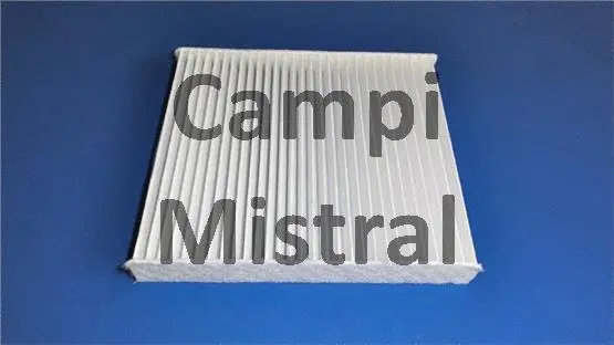 Filter, cabin air (AVF3101)