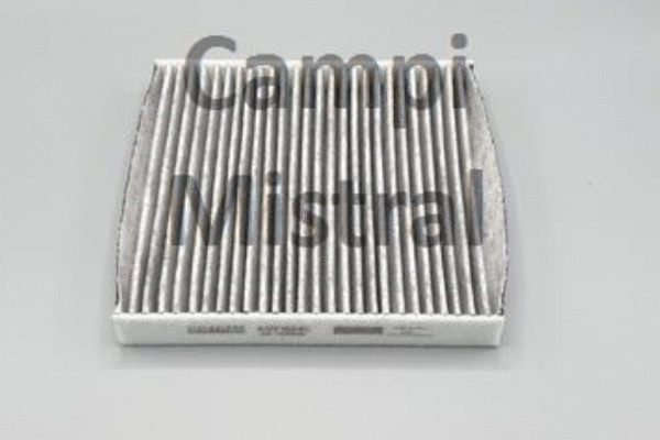 Filter, cabin air (AVF1504C)