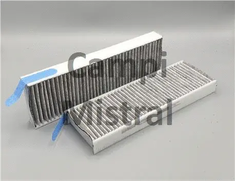 Filter, cabin air (AVF0307C)
