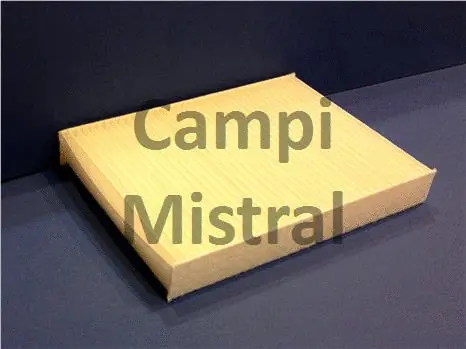 Filter, cabin air (AVF0127)