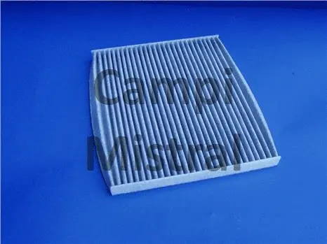 Filter, cabin air (AVF0117C)