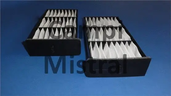 Filter, cabin air (AVF2904)
