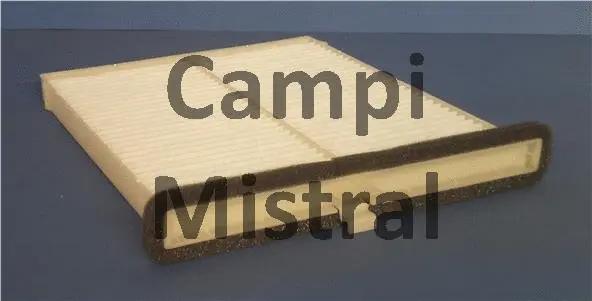 Filter, cabin air (AVF1906)