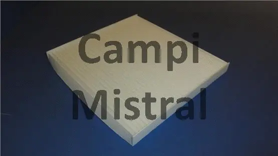 Filter, cabin air (AVF1507)