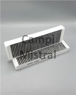 Filter, cabin air (AVF0807C)