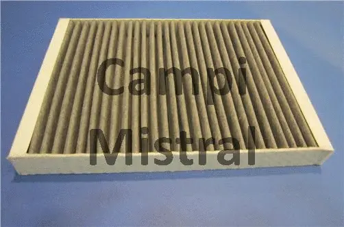 Filter, cabin air (AVF1109C)