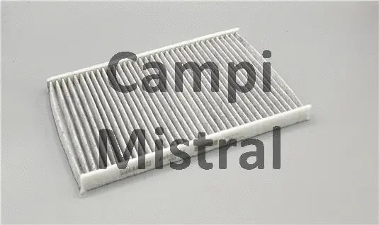 Filter, cabin air (AVF0119C)