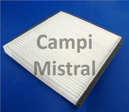 Filter, cabin air (AVF2109)
