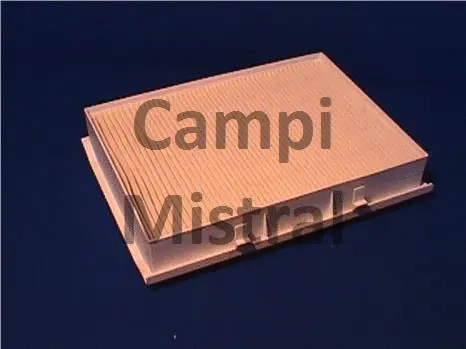 Filter, cabin air (AVF0201)