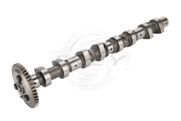 Camshaft (713200801)